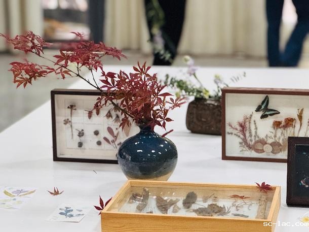 mmexport1748223799625