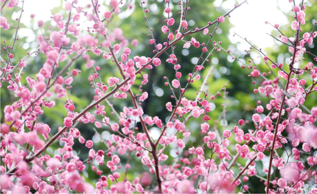 054fbfd7f45249ad1f5fcb881f9af88f