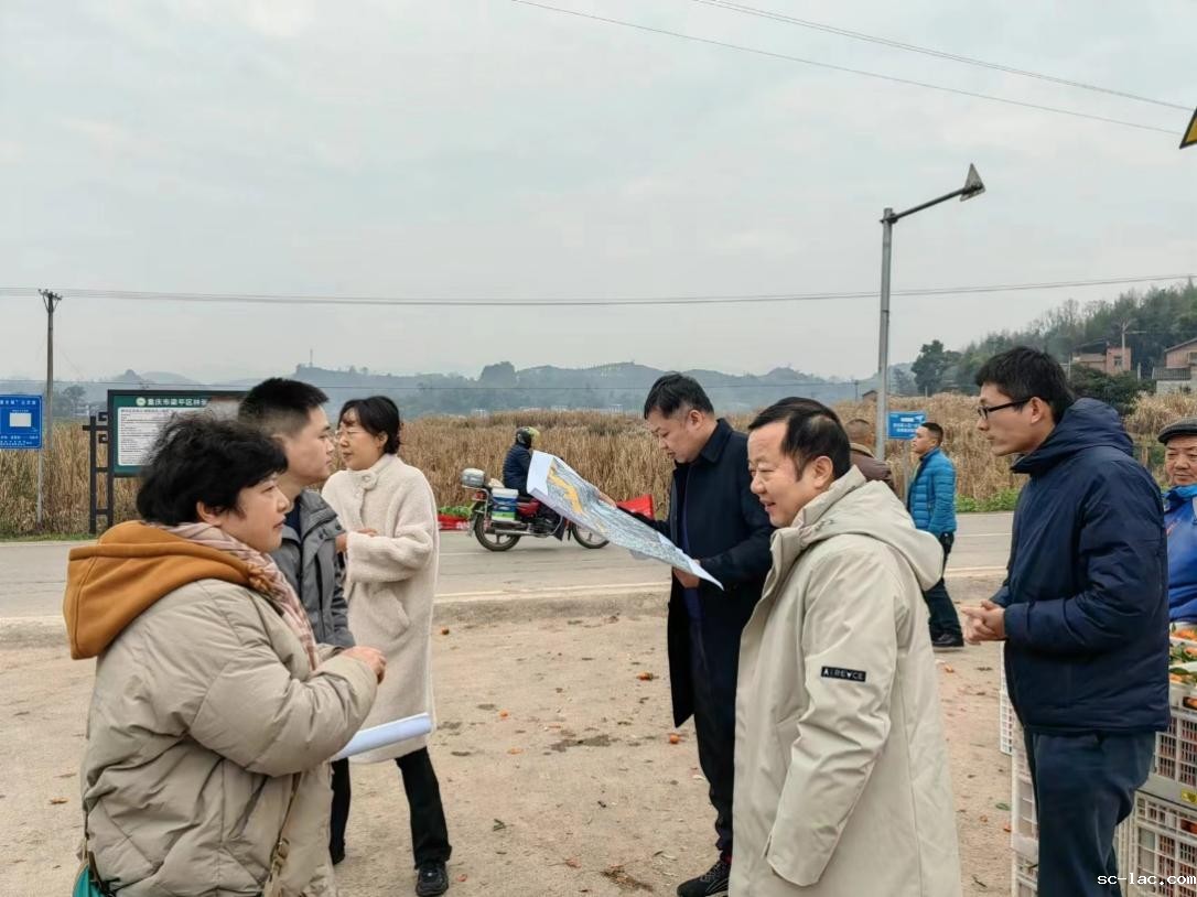 一群人在放风筝中度可信度描述已自动生成