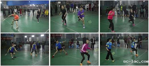 团体冠亚军组图