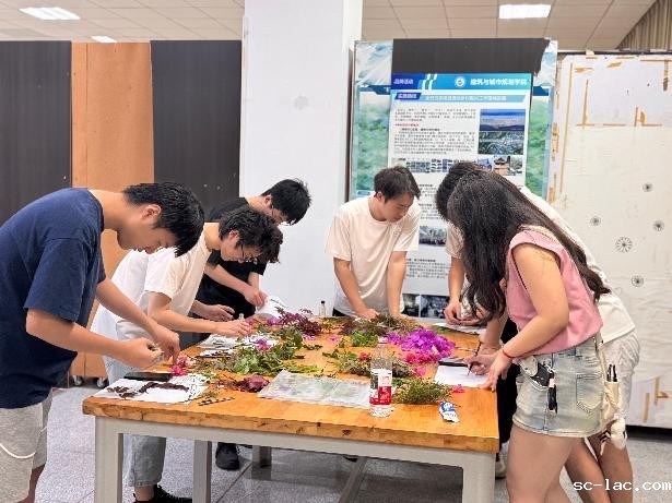 mmexport1748223761242