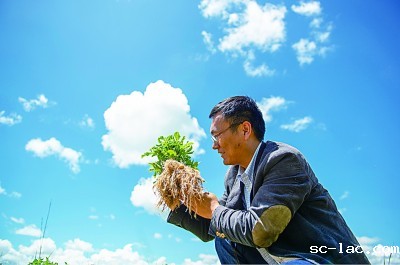 沙漠变绿洲：从25亩到17000亩