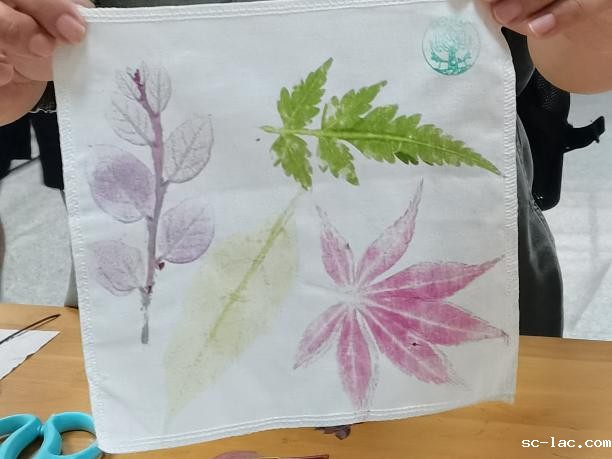 IMG_20250523_142450_edit_71438167616703