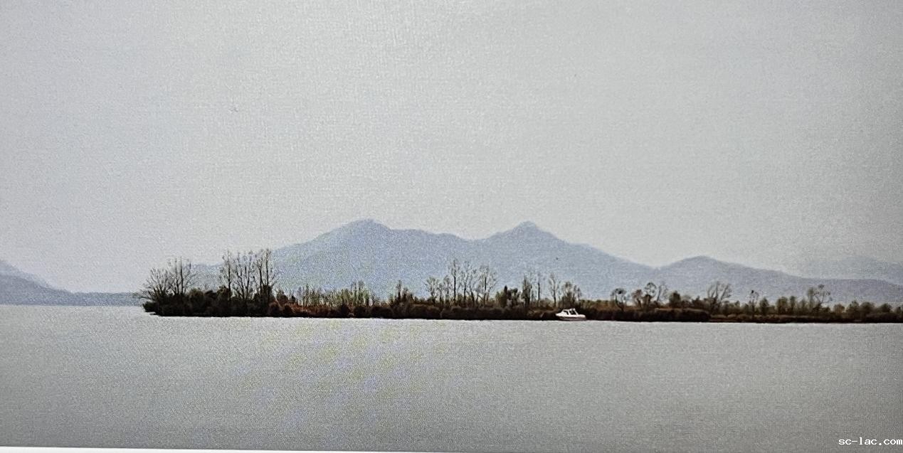 b89b85103d7446a87ac1274f75c8385