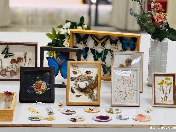 mmexport1748223792378