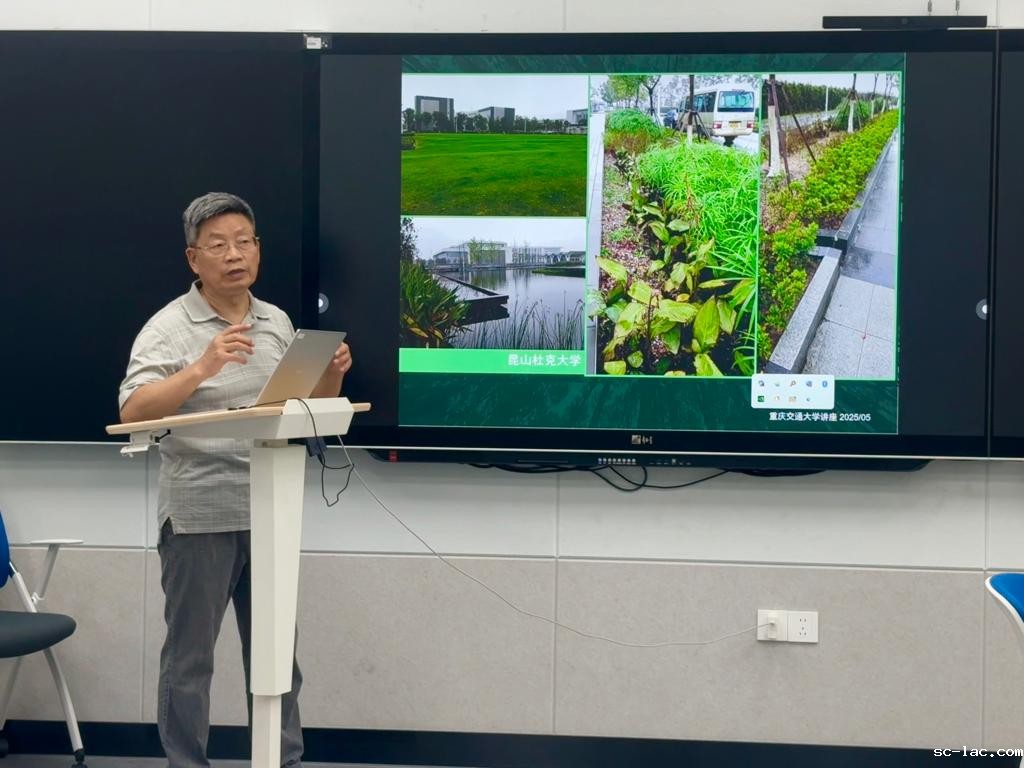 d20c027f64ade30c01fc3e8f272b82d